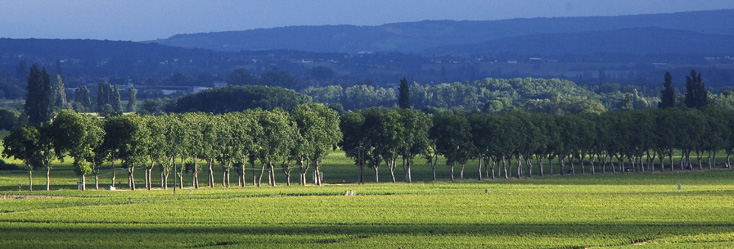 Bourgogne Passe-tout-grains Bourgogne Passe-tout-grains