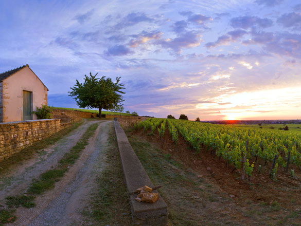 Beaune Beaune