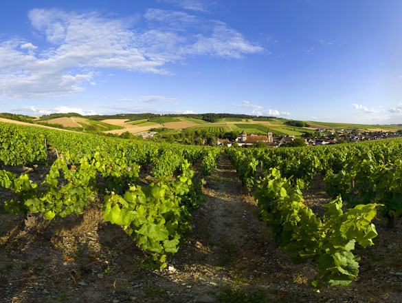 Bourgogne Chitry Bourgogne Chitry