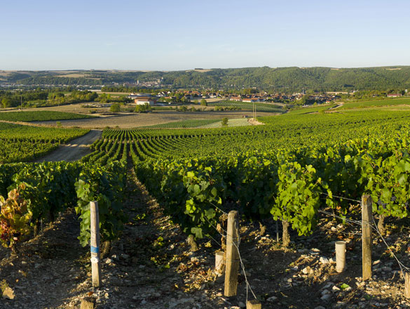 Bourgogne Épineuil Bourgogne Épineuil