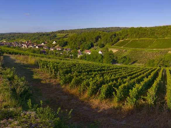 Bourgogne Hautes Côtes de Beaune Bourgogne Hautes Côtes de Beaune