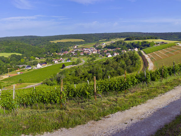 Bourgogne Hautes Côtes de Nuits Bourgogne Hautes Côtes de Nuits