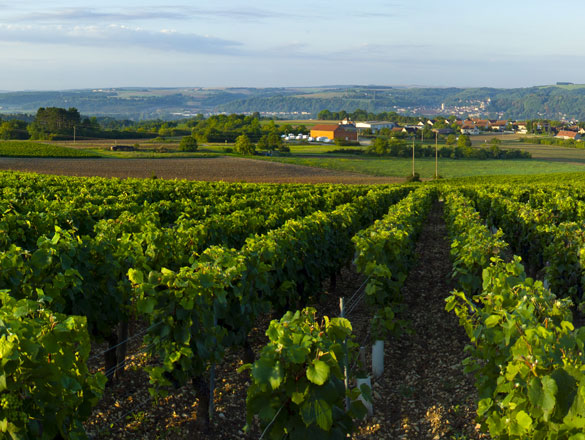 Bourgogne Tonnerre Bourgogne Tonnerre