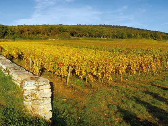 Chambertin Chambertin