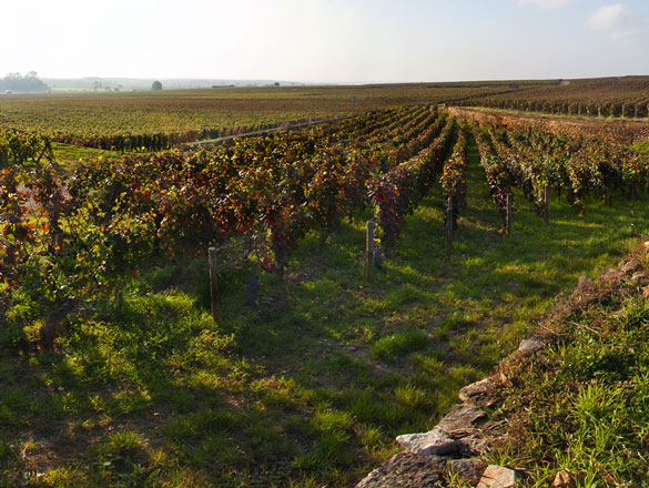 Charmes-Chambertin Charmes-Chambertin