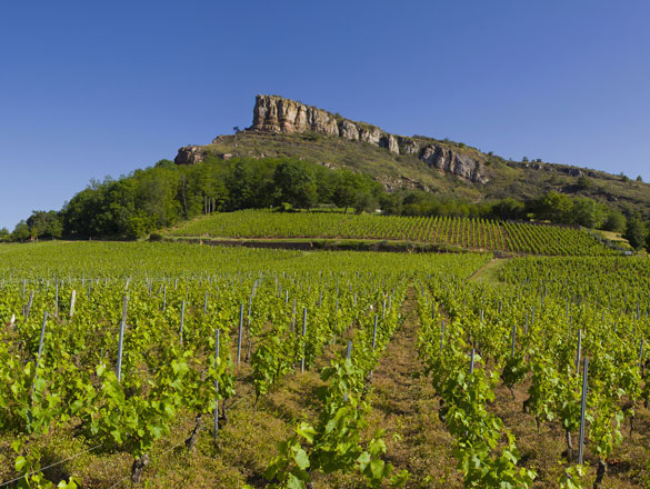 Pouilly-Fuissé Pouilly-Fuissé