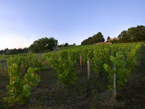 Pouilly-Vinzelles Pouilly-Vinzelles