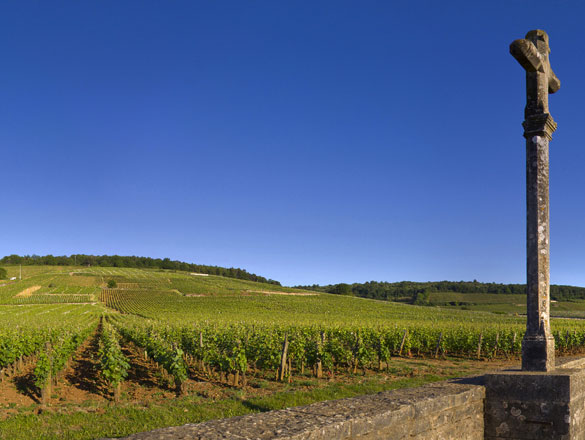 Romanée-Conti Romanée-Conti