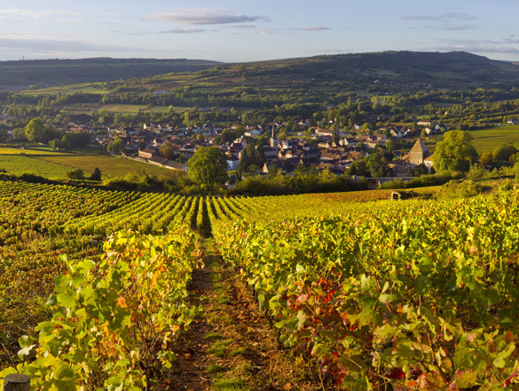 Santenay Santenay