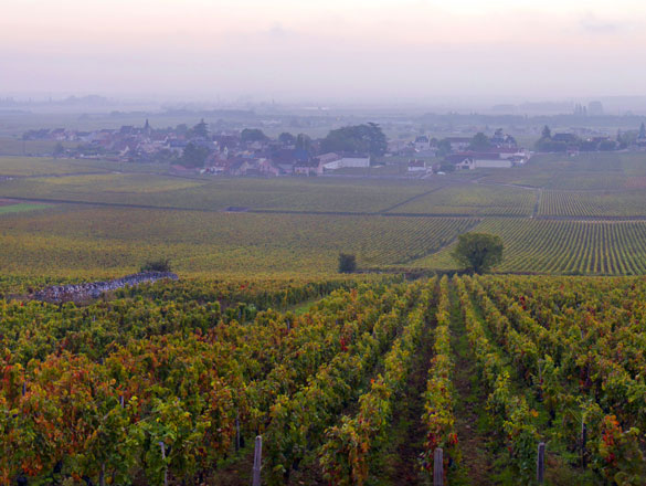 Vosne-Romanée Vosne-Romanée