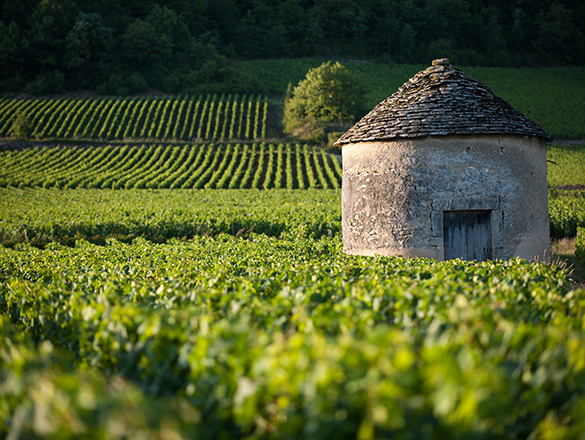 Bourgogne Bourgogne