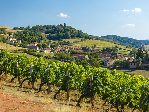 Mâcon-Bray Mâcon-Bray