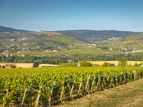 Mâcon-Charnay-Lès-Mâcon Mâcon-Charnay-Lès-Mâcon