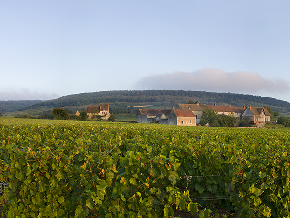 Chassagne-Montrachet Chassagne-Montrachet