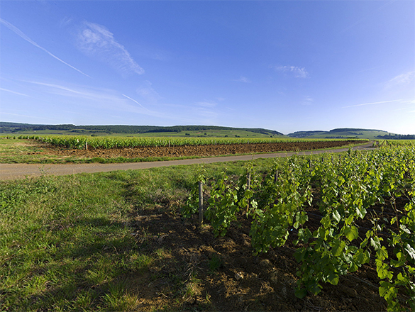 Chorey-Lès-Beaune Chorey-Lès-Beaune