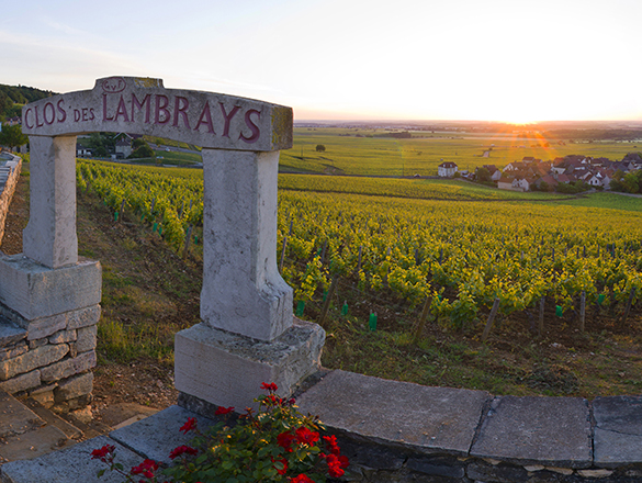 Clos des Lambrays Clos des Lambrays