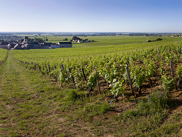 Clos de Tart Clos de Tart