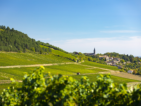Mâcon-La Roche-Vineuse Mâcon-La Roche-Vineuse