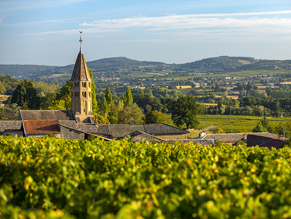 Mâcon-Loché Mâcon-Loché