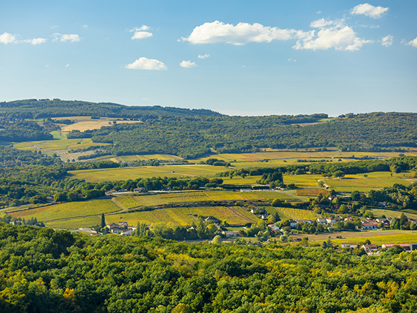 Mâcon-Lugny Mâcon-Lugny