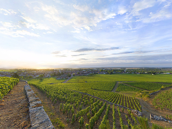 Nuits-Saint-Georges Nuits-Saint-Georges
