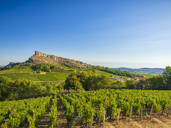 Mâcon-Solutré-Pouilly Mâcon-Solutré-Pouilly