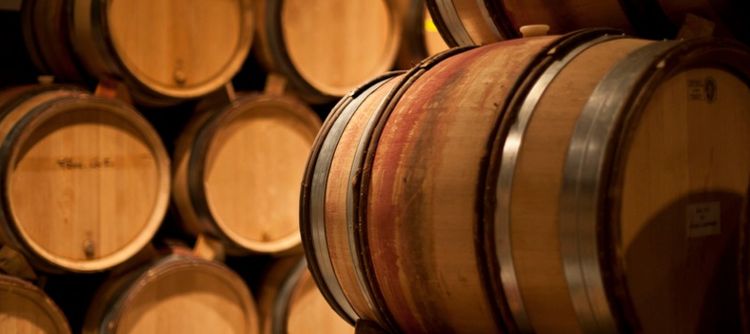 Bourgogne wine review first 7 months 2024